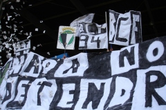 4o-ANIVERSARIO-FRENTE-KOLOCON-006